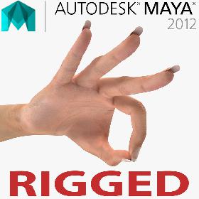 Female Hand 2 Rigged for Maya